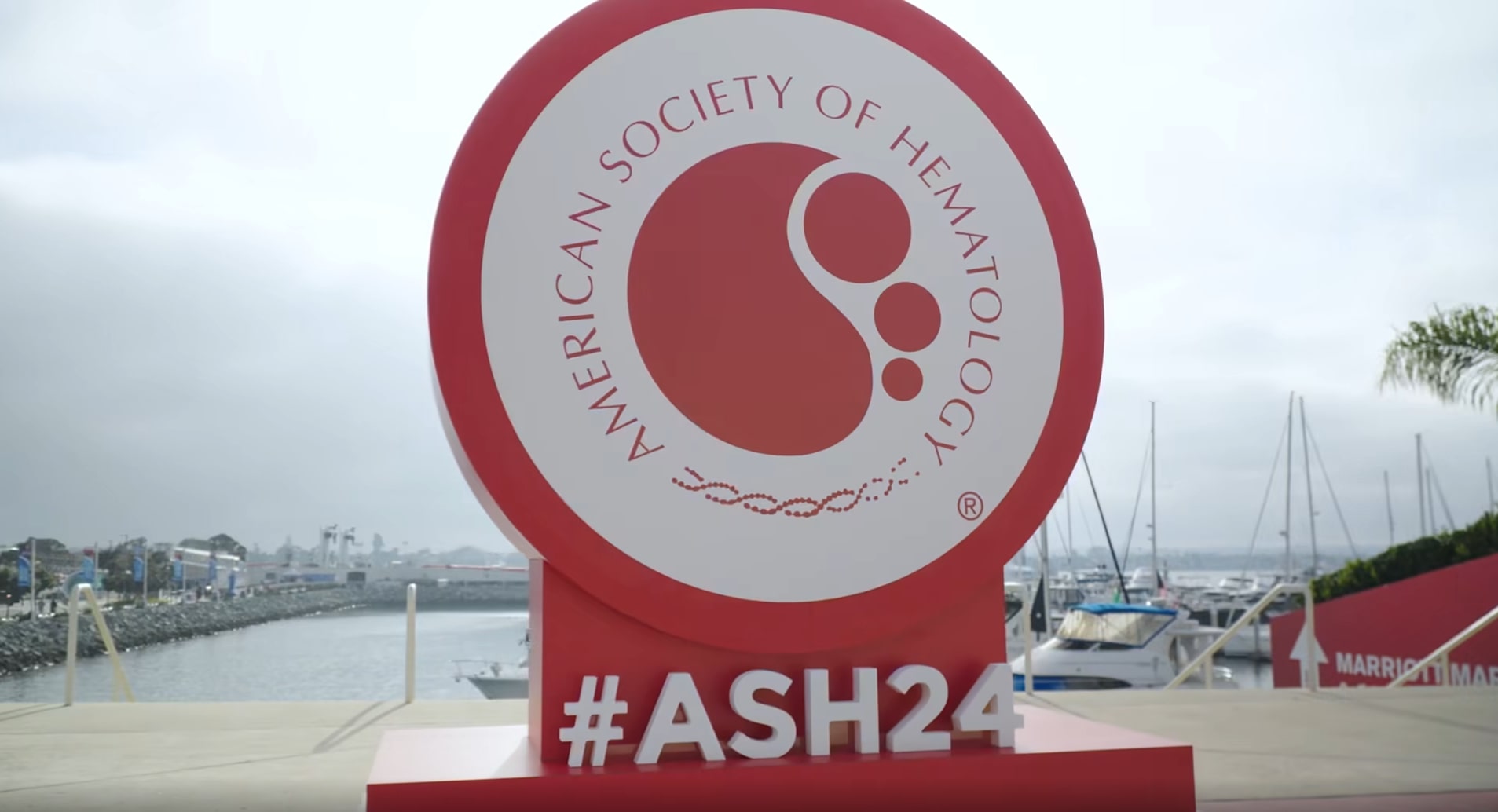 LymphoVista HL Assay auf der ASH 2024, MRD bei Hodgkin-Lymphom